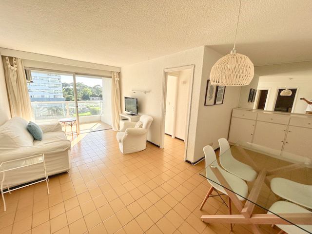 Imagen 2 de la galería