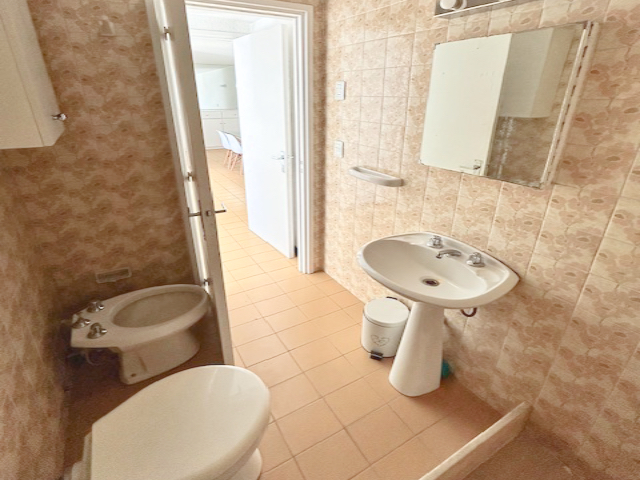 Imagen 8 de la galería