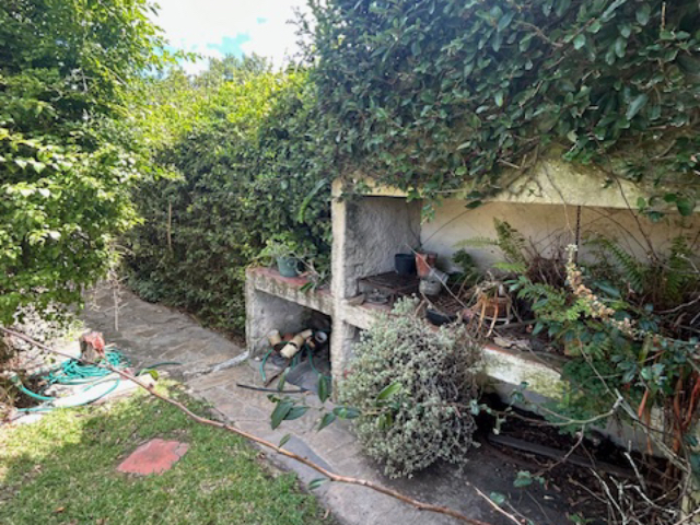 Imagen 13 de la galería