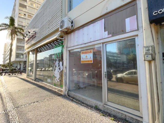 Imagen 5 de la galería