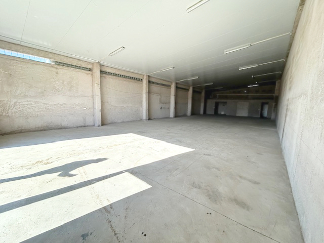 Imagen 2 de la galería