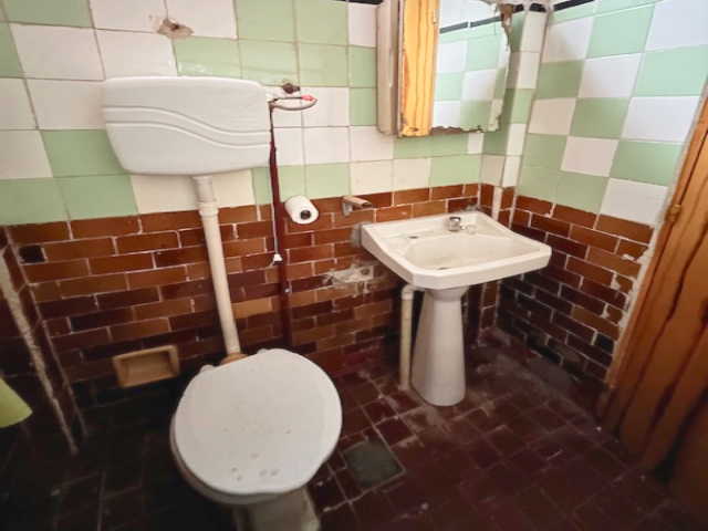 Imagen 3 de la galería