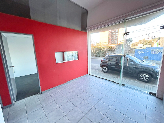 Imagen 3 de la galería