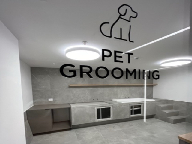 Imagen 7 de la galería