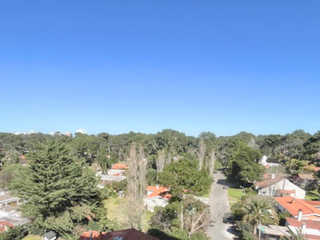 Imagen 5 de la galería