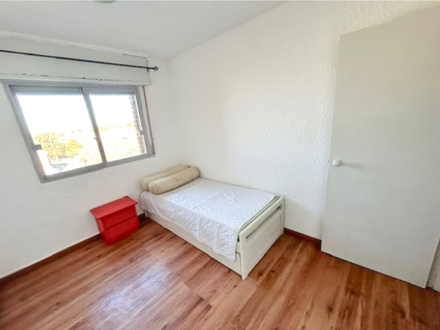 Imagen 12 de la galería