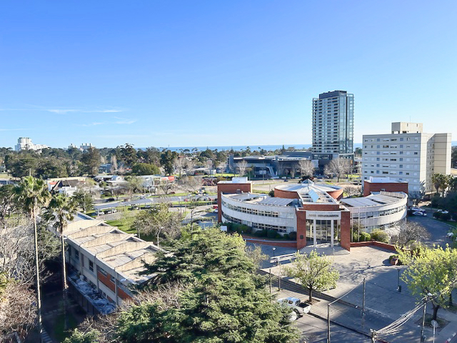 Imagen 5 de la galería