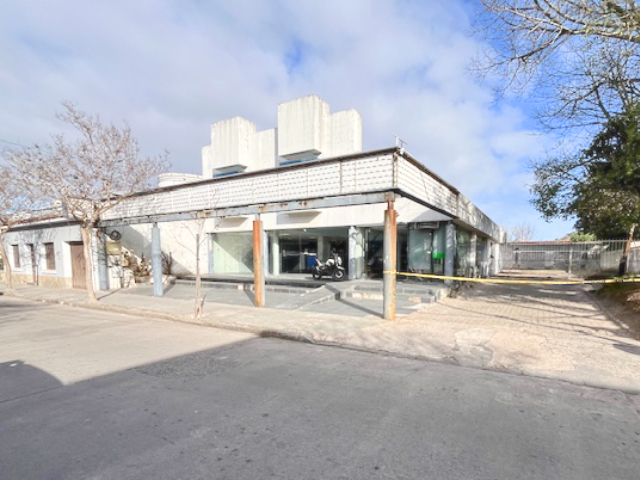 Imagen 2 de la galería