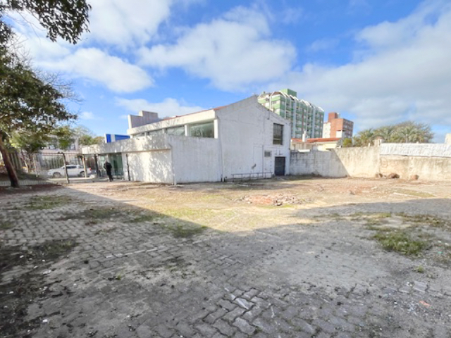 Imagen 3 de la galería