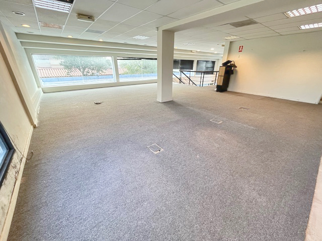 Imagen 7 de la galería