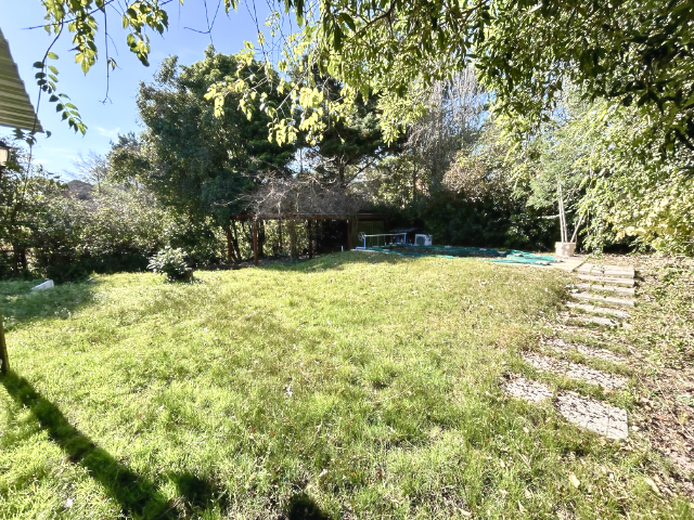 Imagen 15 de la galería