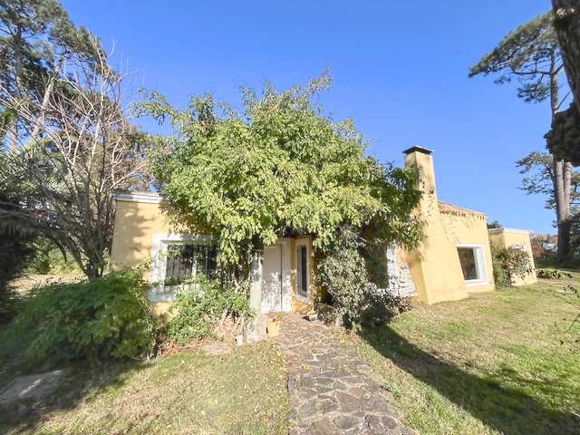 Imagen 1 de la galería