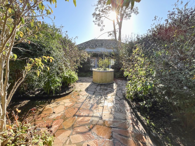 Imagen 13 de la galería