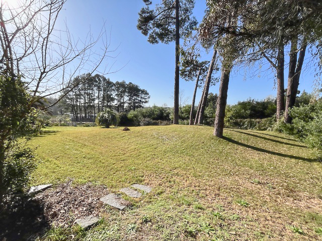 Imagen 15 de la galería