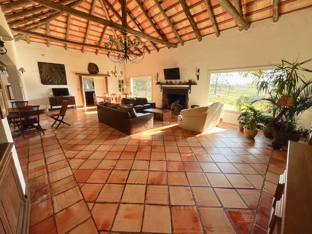 Imagen 3 de la galería