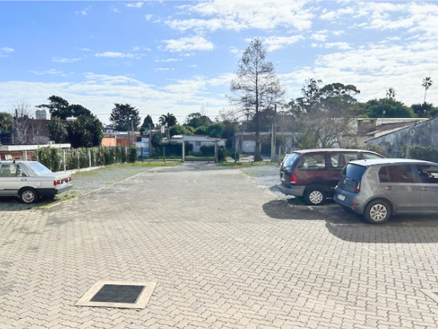 Imagen 12 de la galería