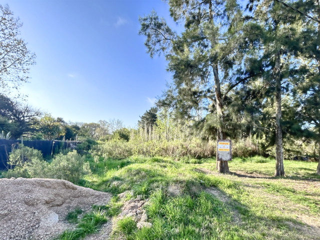 Imagen 1 de la galería