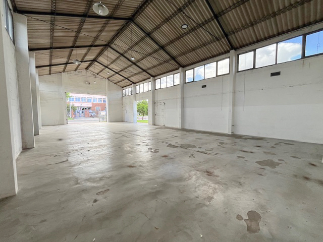 Imagen 3 de la galería