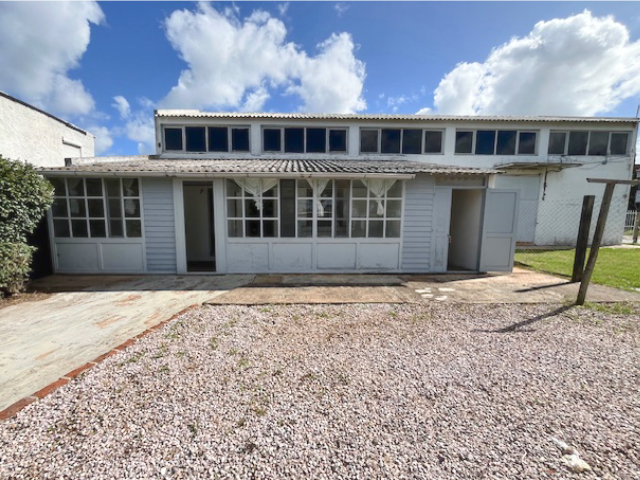 Imagen 4 de la galería