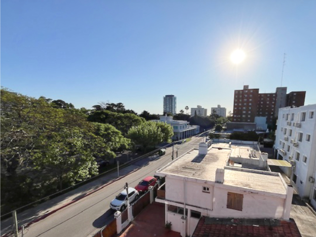 Imagen 11 de la galería