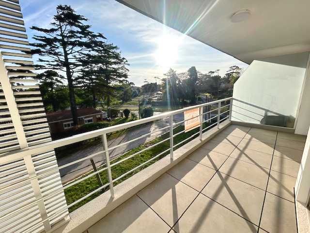 Imagen 8 de la galería