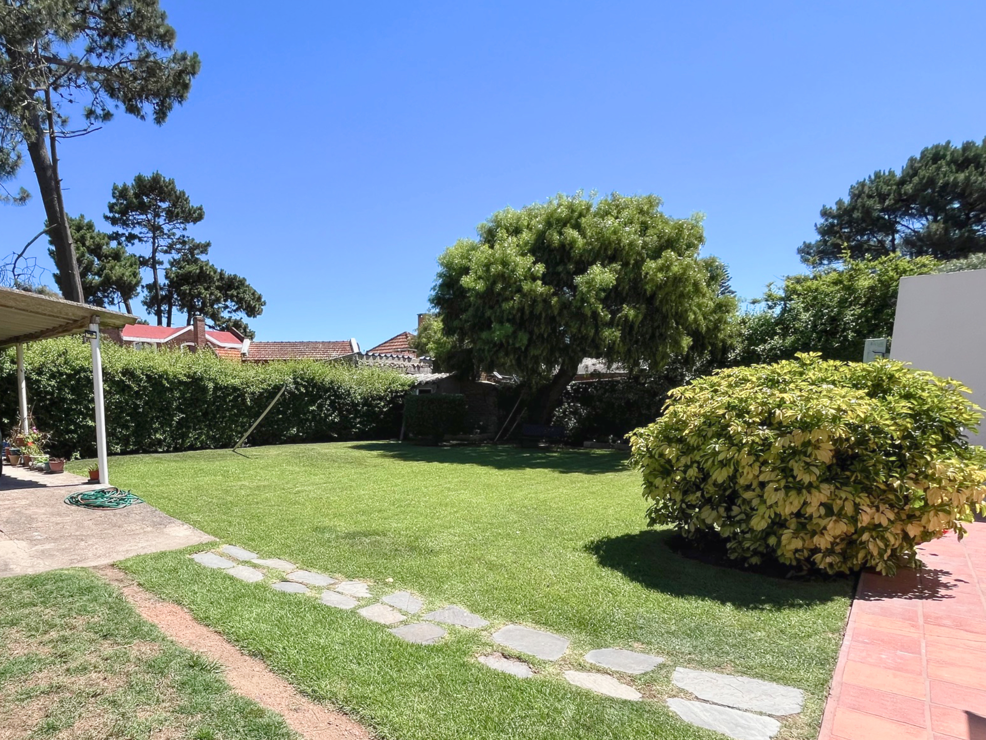 Imagen 11 de la galería