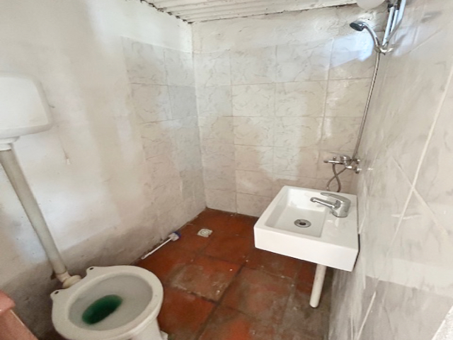 Imagen 5 de la galería