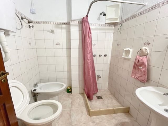 Imagen 5 de la galería