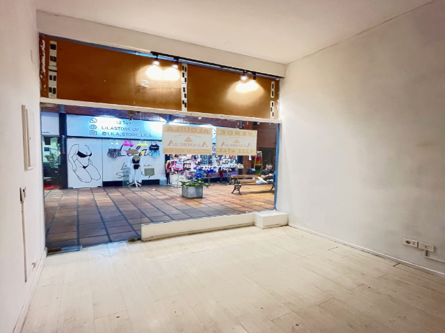 Imagen 3 de la galería