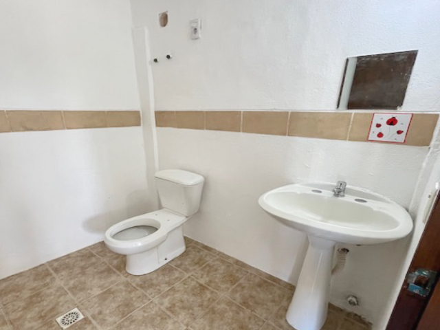 Imagen 8 de la galería