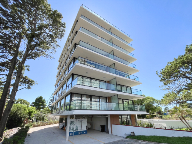 Imagen 1 de la galería