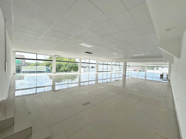 Imagen 3 de la galería