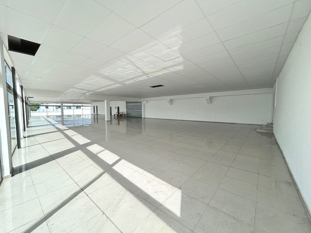 Imagen 4 de la galería