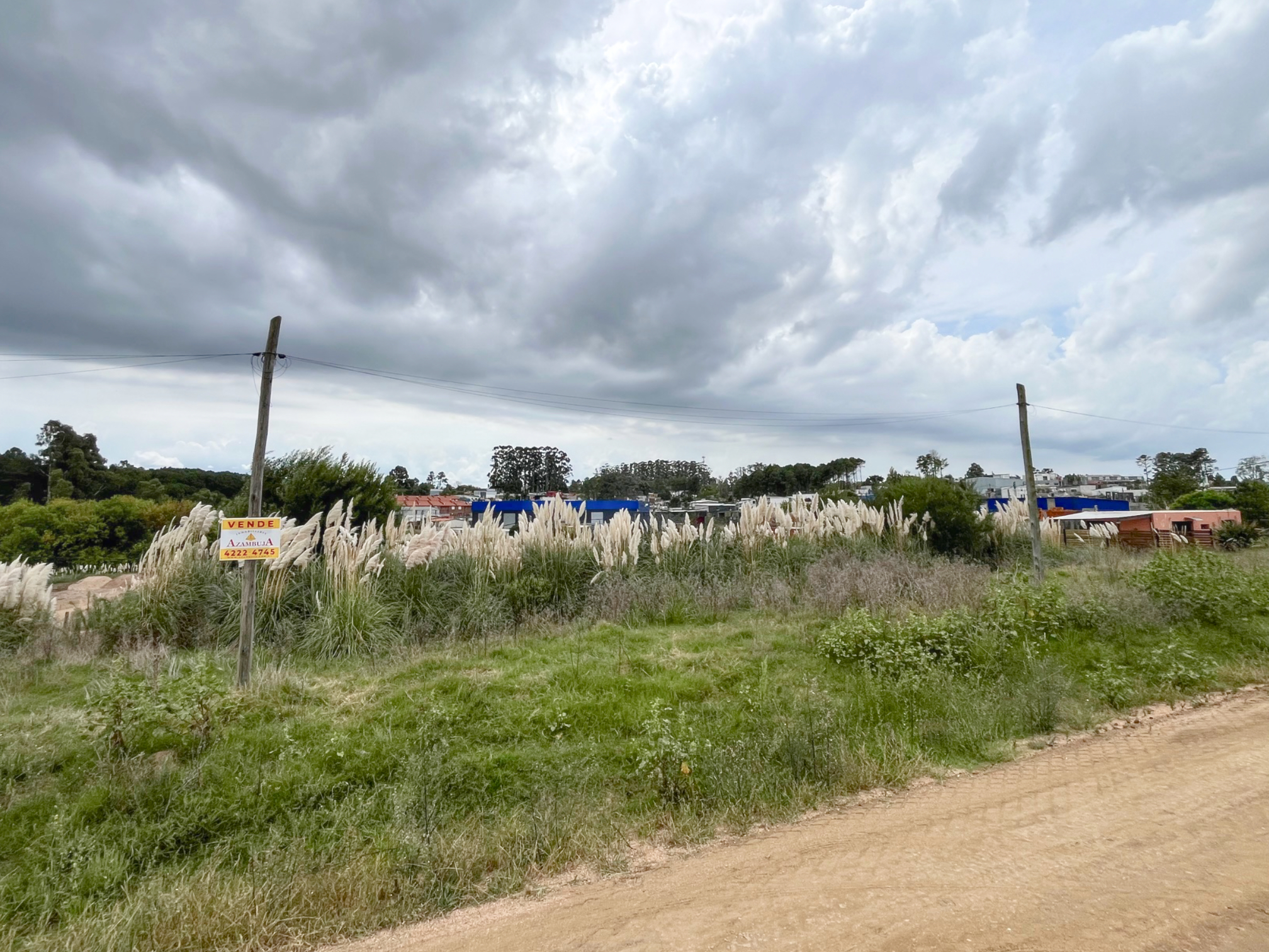 Imagen 1 de la galería