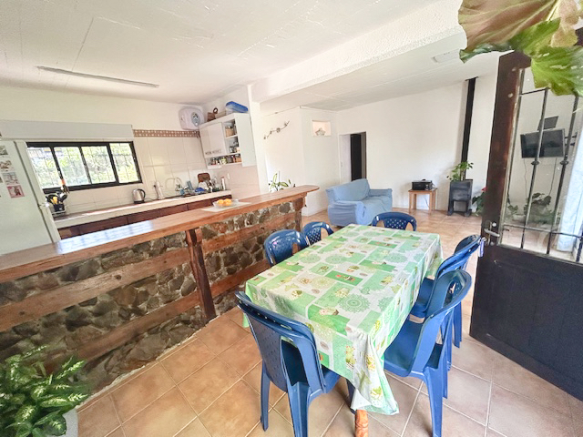 Imagen 4 de la galería