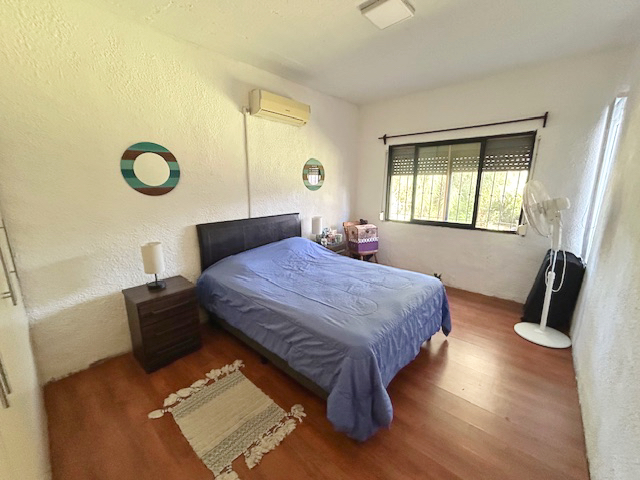 Imagen 6 de la galería