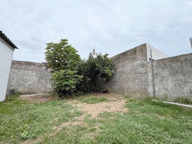 Imagen 10 de la galería