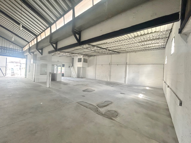 Imagen 3 de la galería