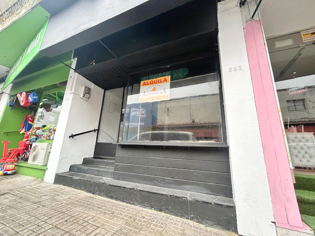 Imagen 1 de la galería