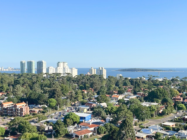 Imagen 9 de la galería