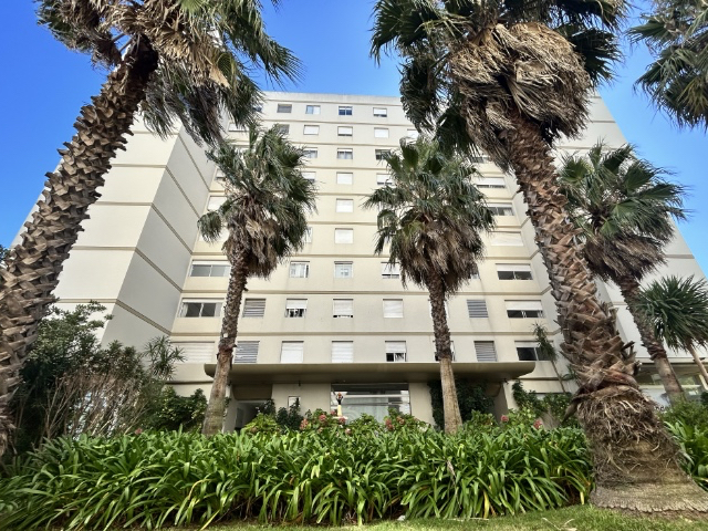 Imagen 1 de la galería