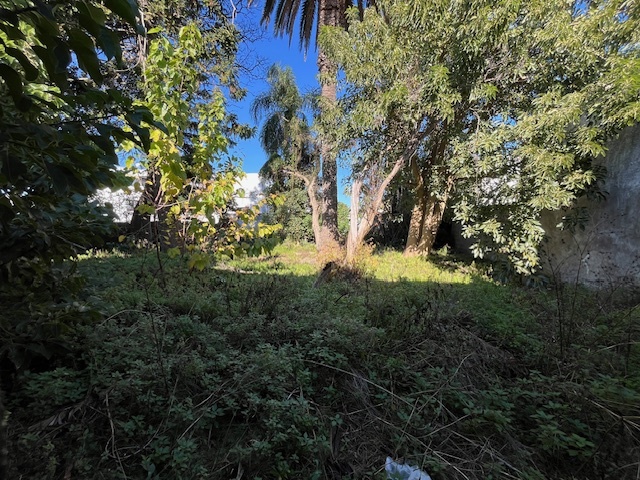 Imagen 7 de la galería