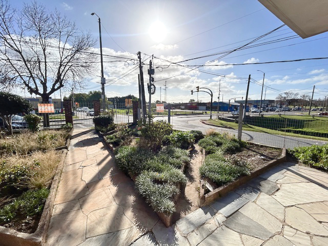 Imagen 4 de la galería