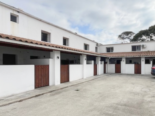 Imagen 1 de la galería