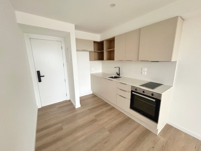 Imagen 3 de la galería