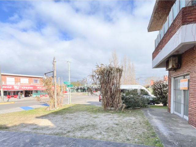 Imagen 3 de la galería