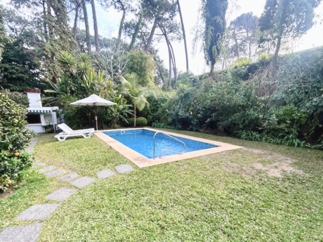 Imagen 13 de la galería