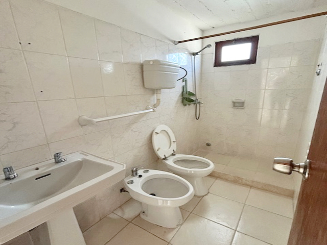 Imagen 5 de la galería