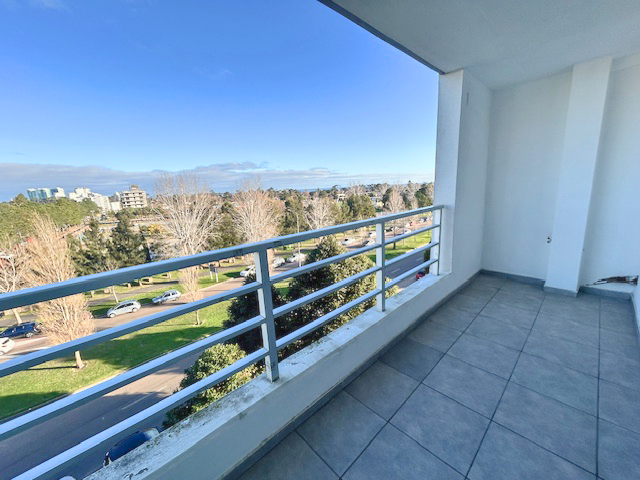 Imagen 12 de la galería