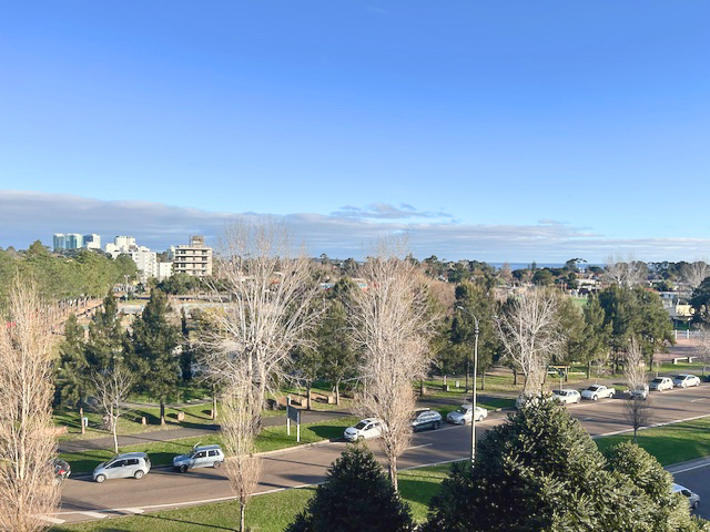 Imagen 9 de la galería